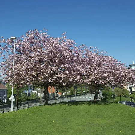 Historic House, Right In The Middle Of Everything! Μπέργκεν